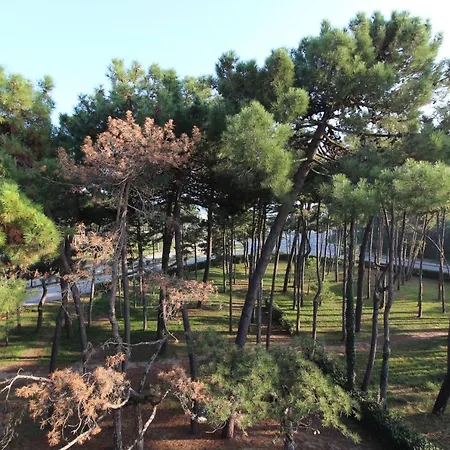 Volpe Apartmán